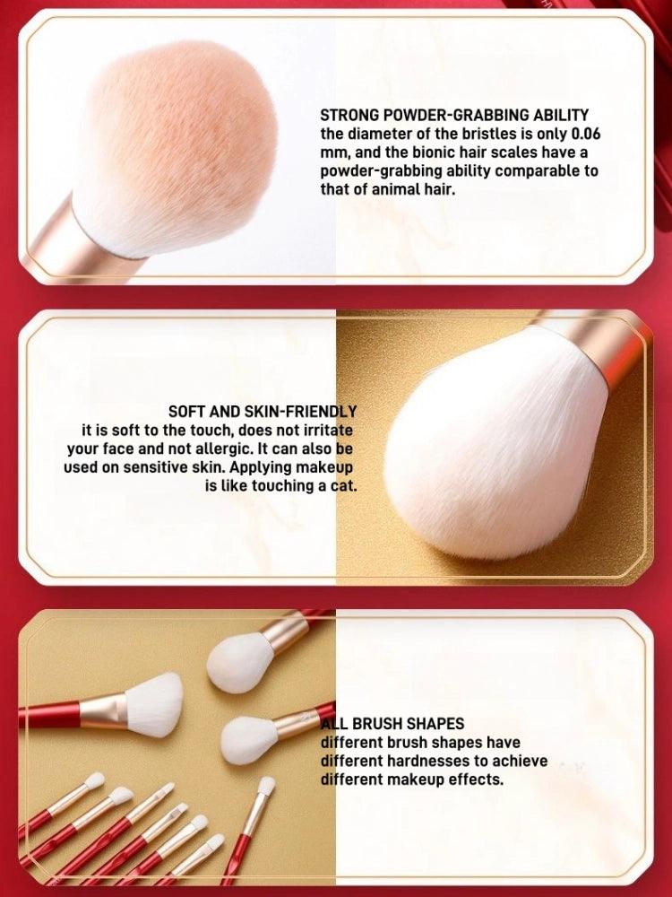 Beauty Face 10 Brushes Set