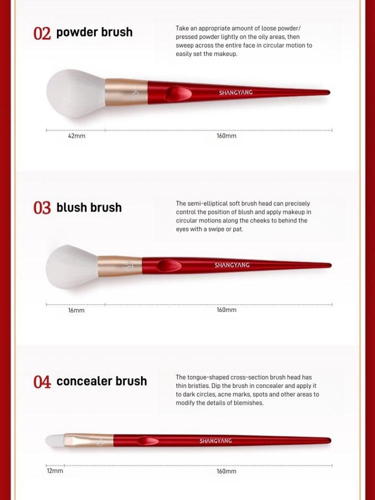 Beauty Face 10 Brushes Set