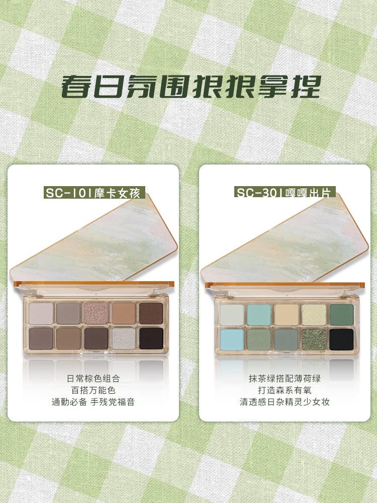 Shedella SC Ten Colors Eyeshadow Palette SLD09 - Chic Decent