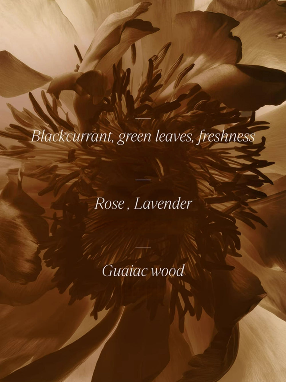 AFU Mummy Anti-wrinkle Facial Oil 0.35ml*21