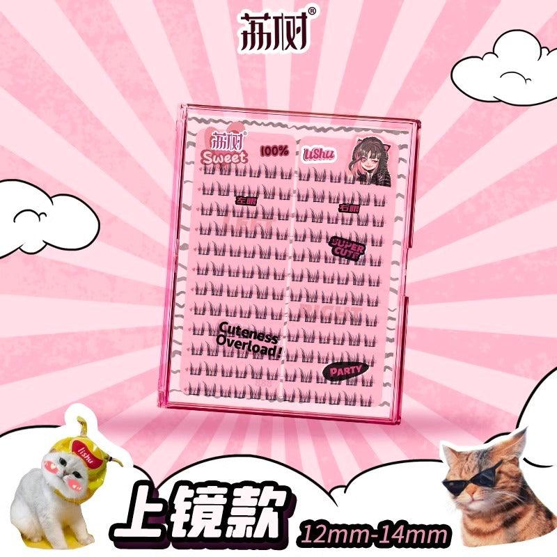 LISHU A Plus False Eyelashes Book 144