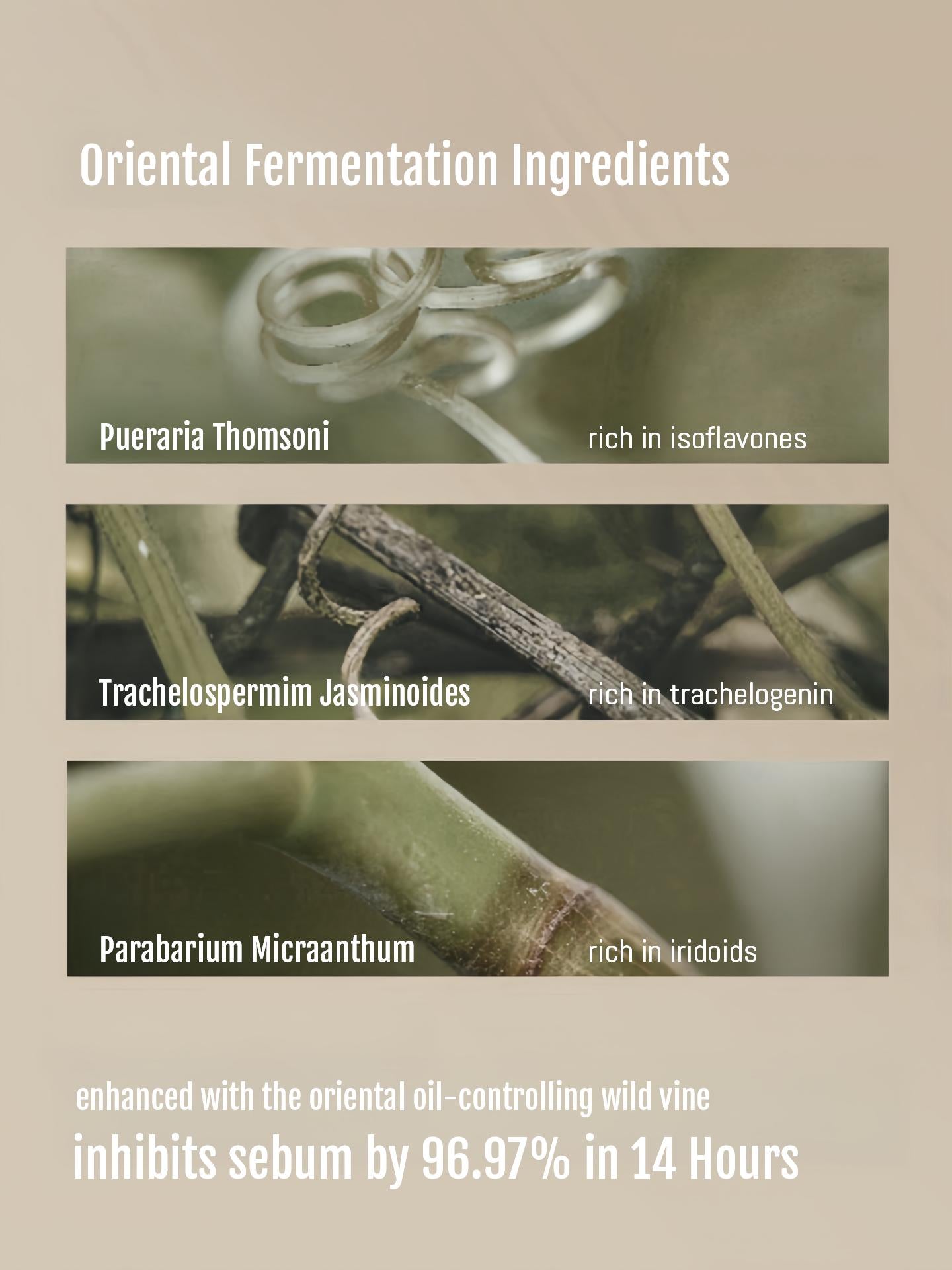 Marie Dalgar Vine Blurring Longwear Powder Pact 10g