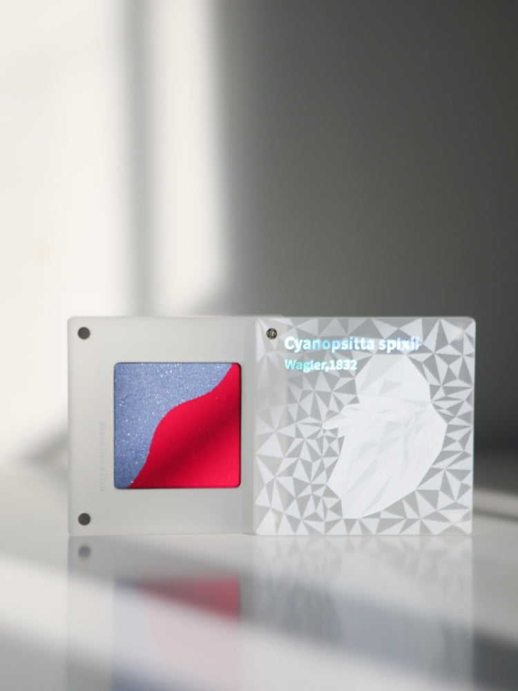 PARPER Endangered Species Blusher Duo 5.5g