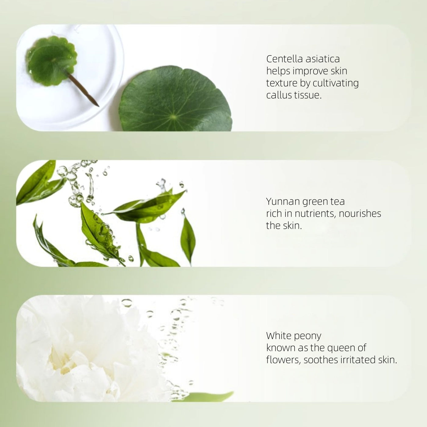 ZHUBEN - Dream River Cleanser 100g