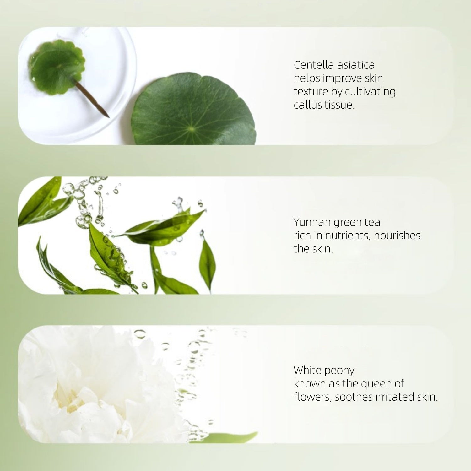 Zhuben Dream River Cleanser 100g